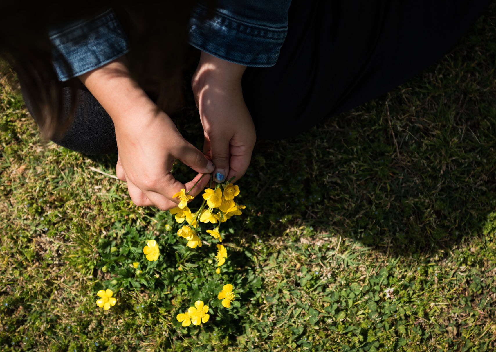 Imprints Cares during COVID19